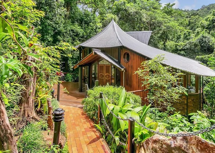The Secret Treehouse
