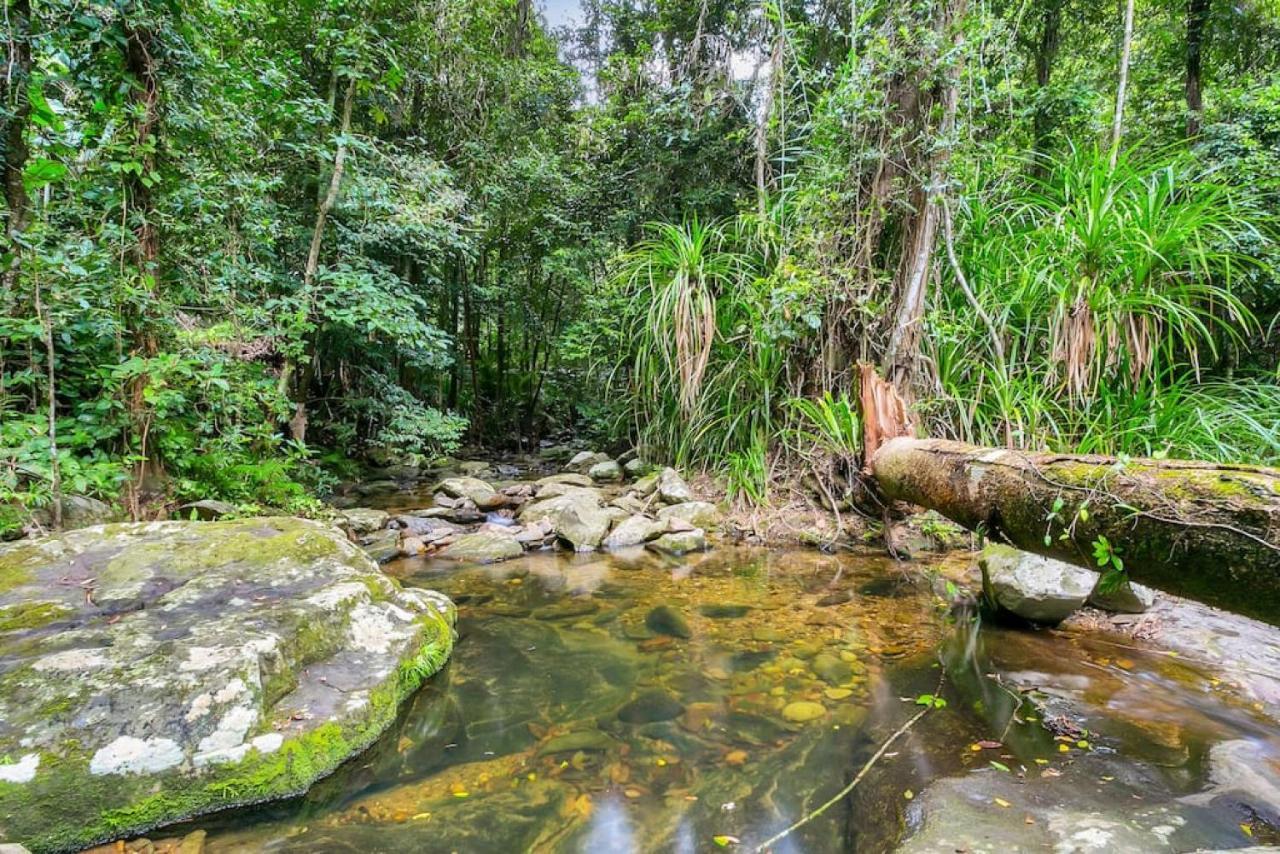 Campsite The Secret Treehouse Cairns
