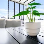 Accent On Mcleod - Breezy Outdoor Living