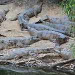 Attenborough Apartments