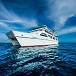Reef Encounter