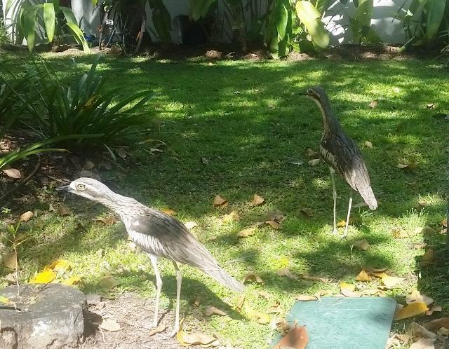 Apartment Attenborough *