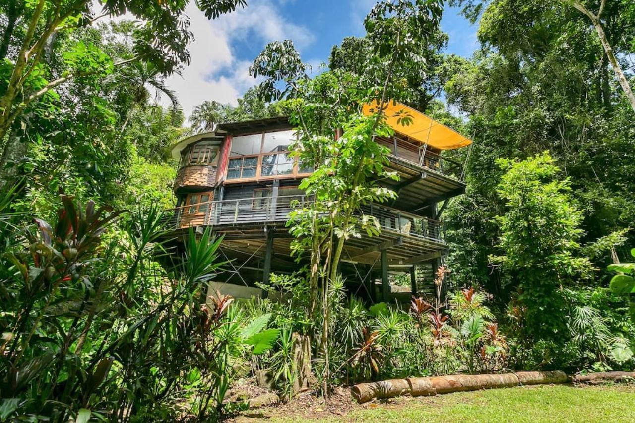 The Secret Treehouse Campsite