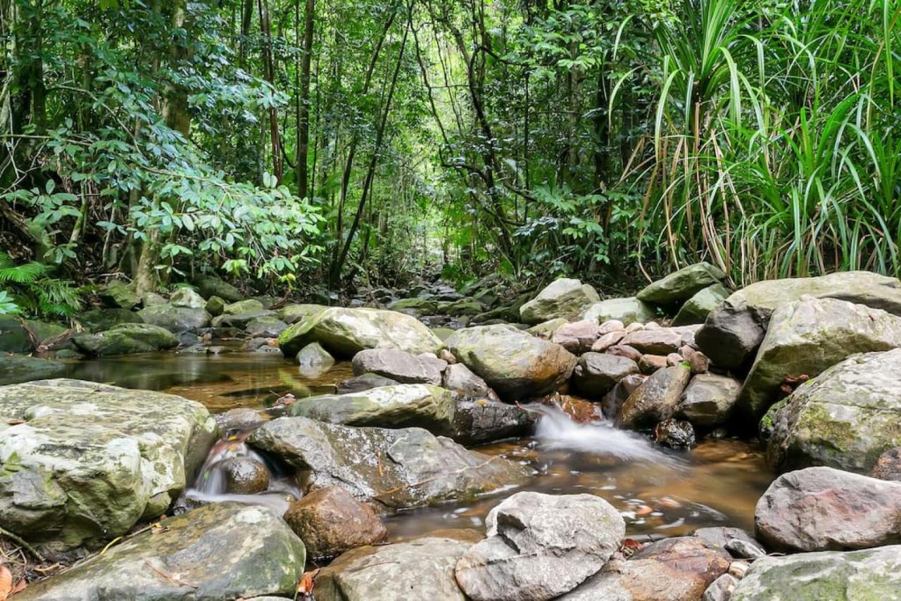 The Secret Treehouse * Cairns