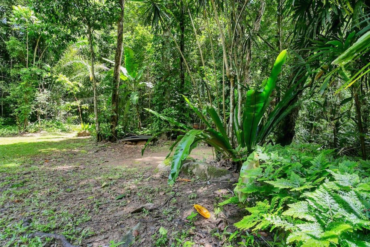 The Secret Treehouse * Cairns