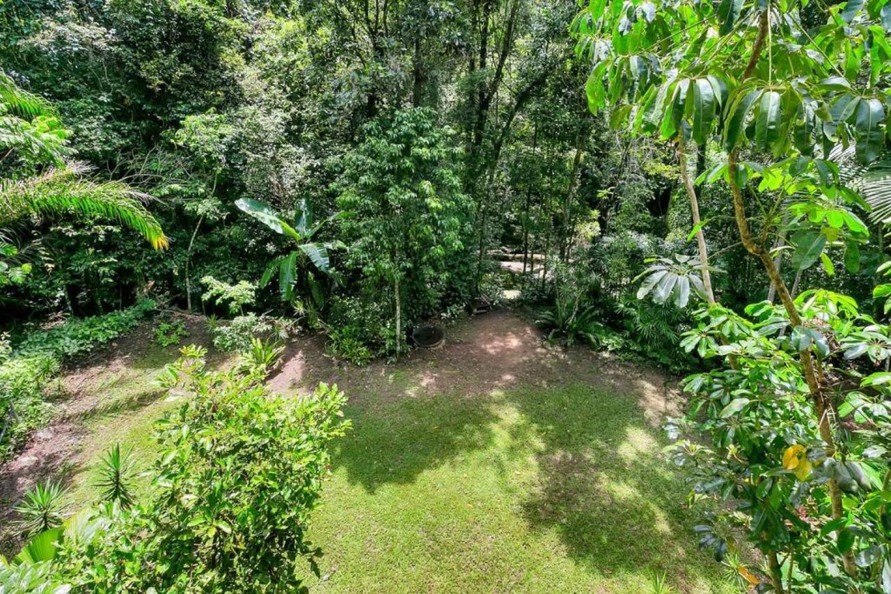 The Secret Treehouse * Cairns