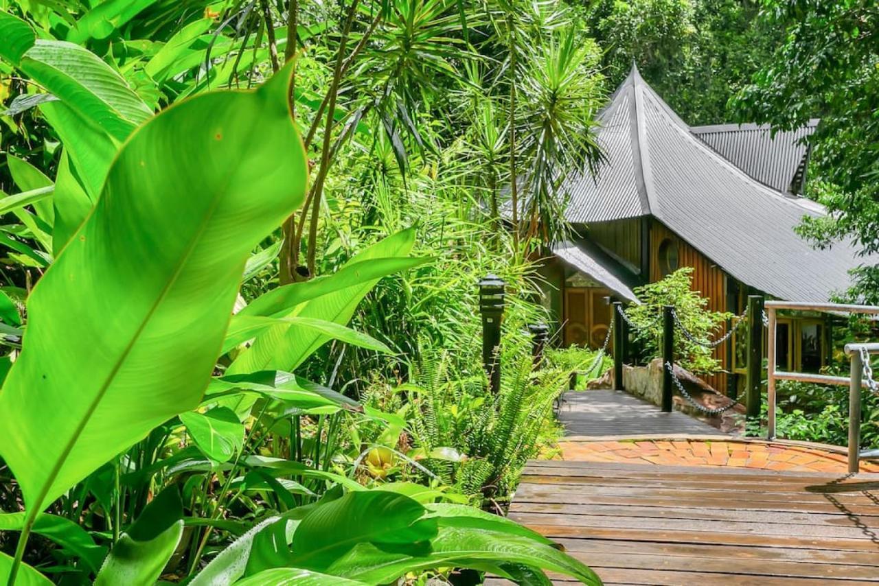 Campsite The Secret Treehouse Cairns