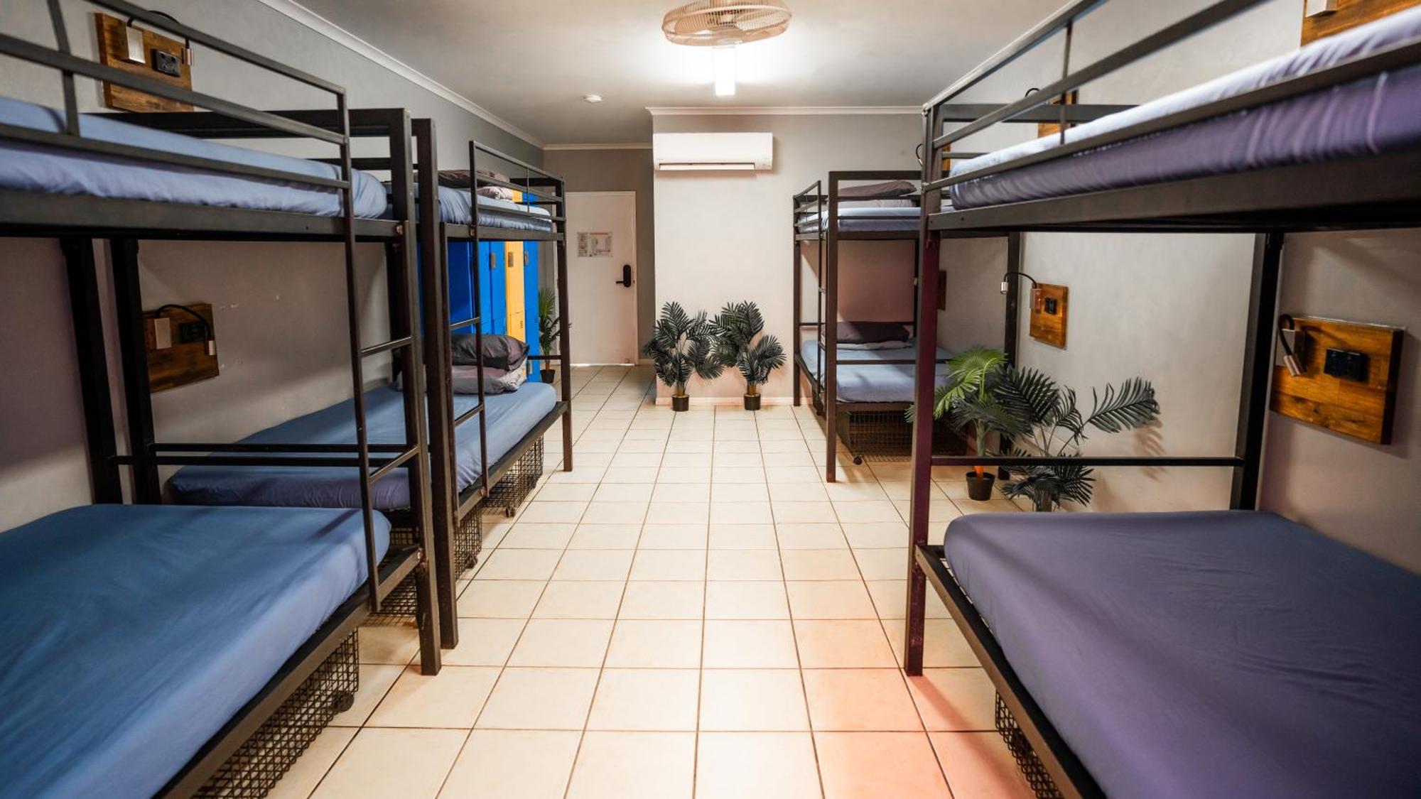 Mad Monkey Jungle Hostel Cairns