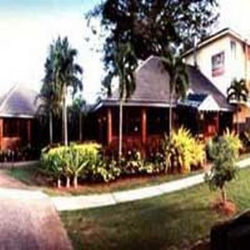 Figtree 3*